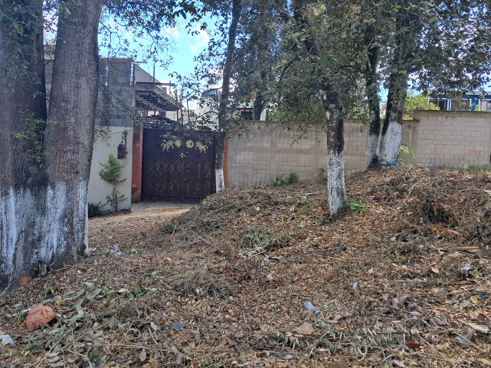 Terreno ALC-T-001 en Quintas Don Pedro