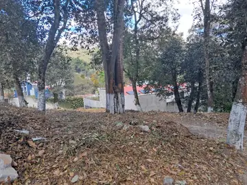 Vista del terreno y entorno ALC-T-001
