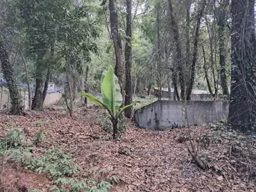 Vista del terreno ALC-T-002