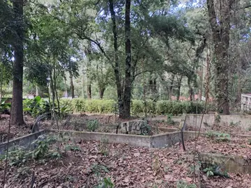 Vista del entorno natural ALC-T-002